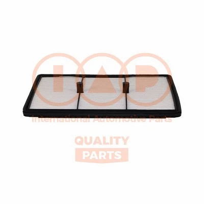 Air Filter (121-07170)