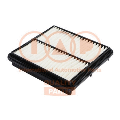 Air Filter (121-20030G)