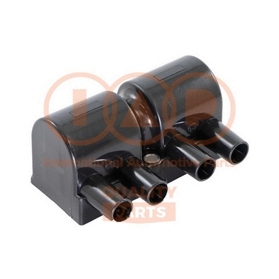 Ignition Coil (816-20030)