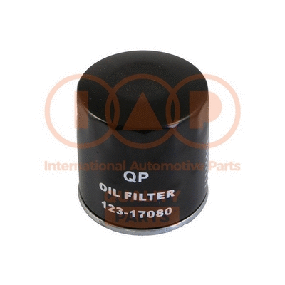 Oil Filter (123-17080)