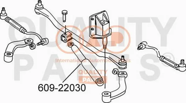 Shock Absorber, steering (609-22030)