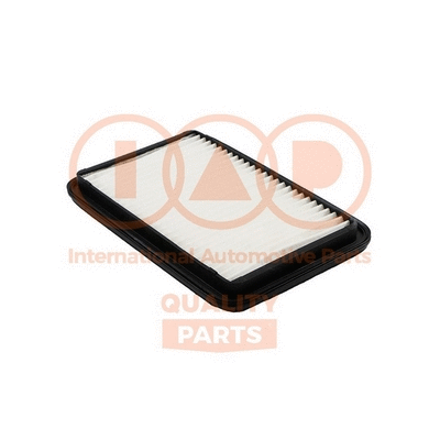 Air Filter (121-16076)