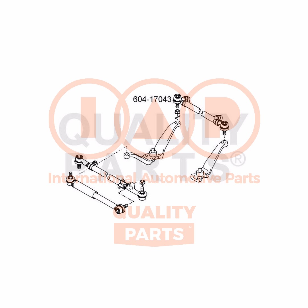 Tie Rod End (604-17043)