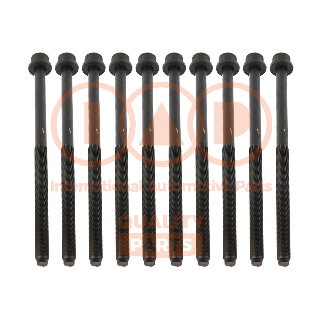 Cylinder Head Bolt Set (119-09040)