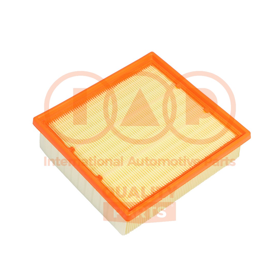 Air Filter (121-09032)
