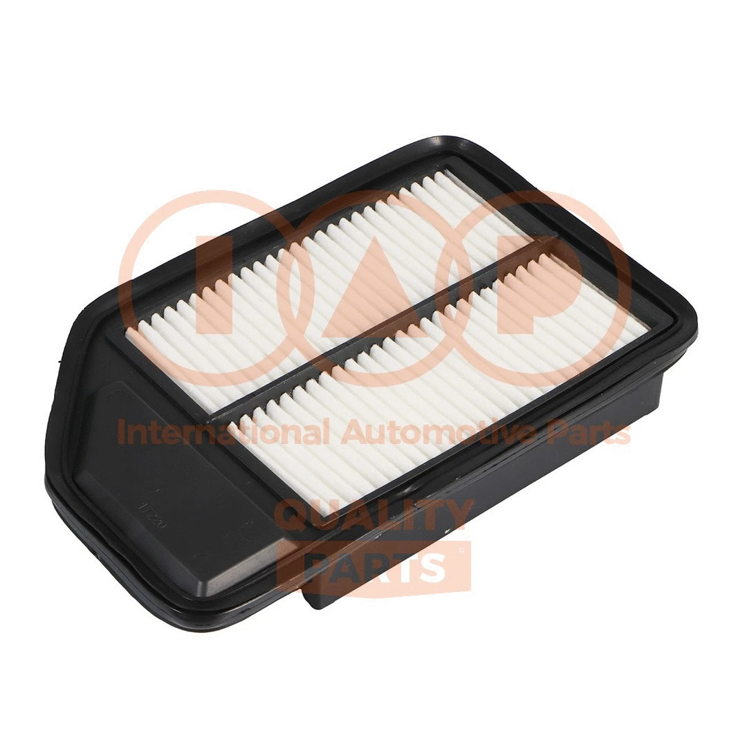 Air Filter (121-06100)