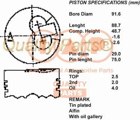 Piston (100-12029)