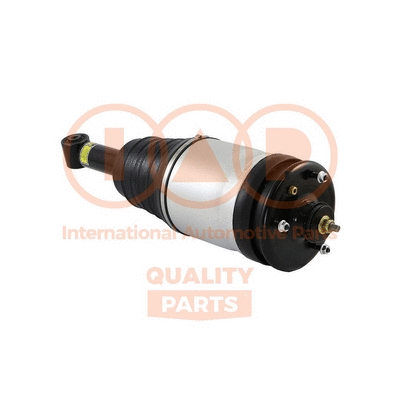 Air Suspension Strut