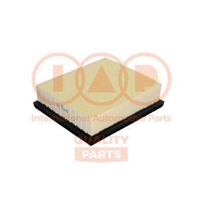 Air Filter (121-12070)