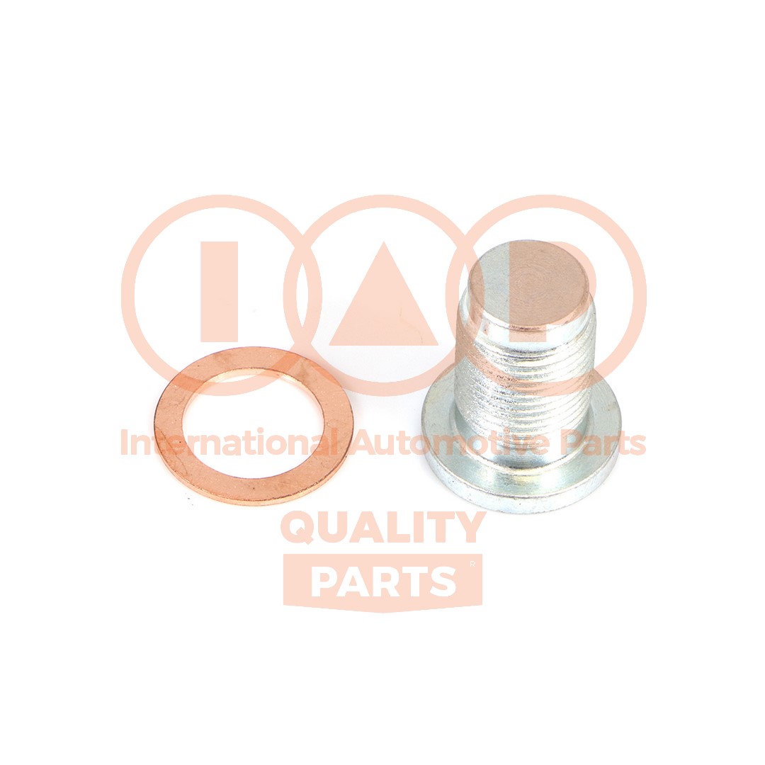 Screw Plug, oil sump (162-16100)