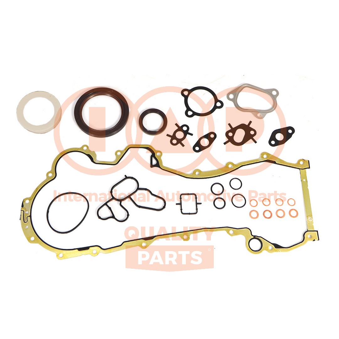 Gasket Kit, crankcase (117-16076)