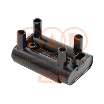 Ignition Coil (816-24010)