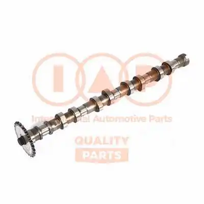 Camshaft (124-21077)