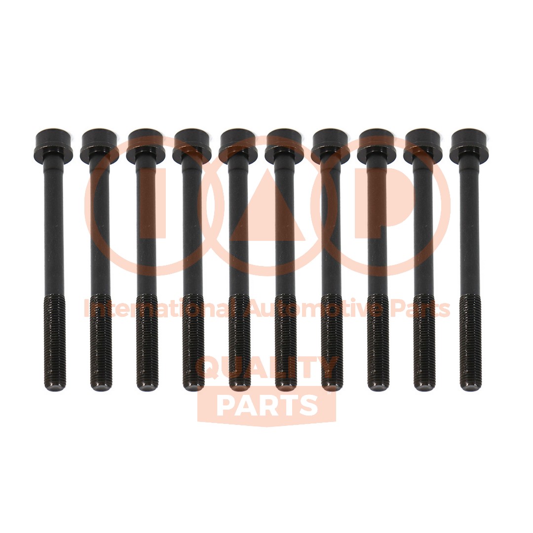 Cylinder Head Bolt Set (119-16063)