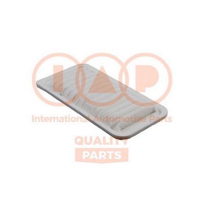 Air Filter (121-17001)