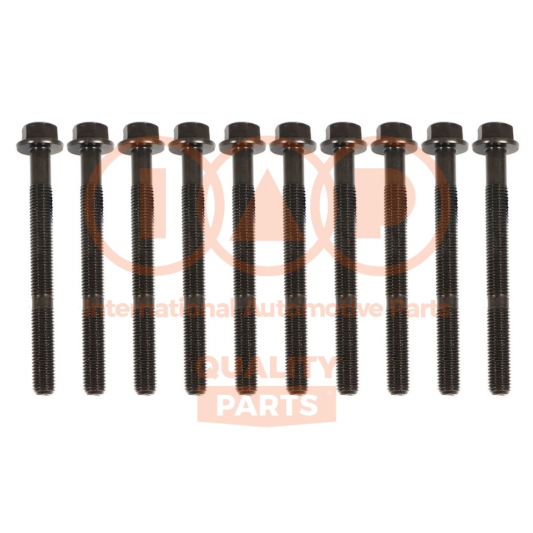 Cylinder Head Bolt Set (119-08020)