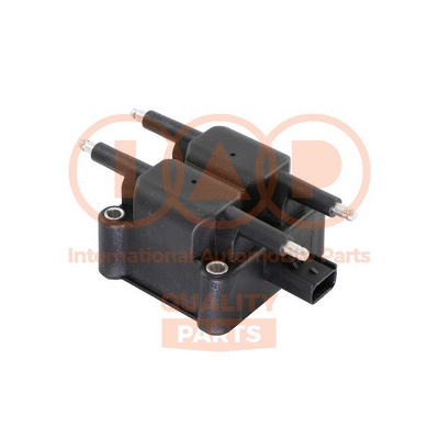 Ignition Coil (816-02060)