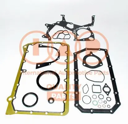Gasket Kit, crankcase (117-14073)