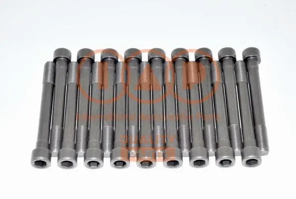 Cylinder Head Bolt Set (119-12020)