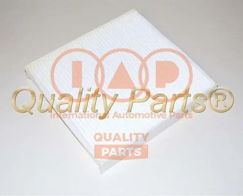 Filter, cabin air (821-09022)
