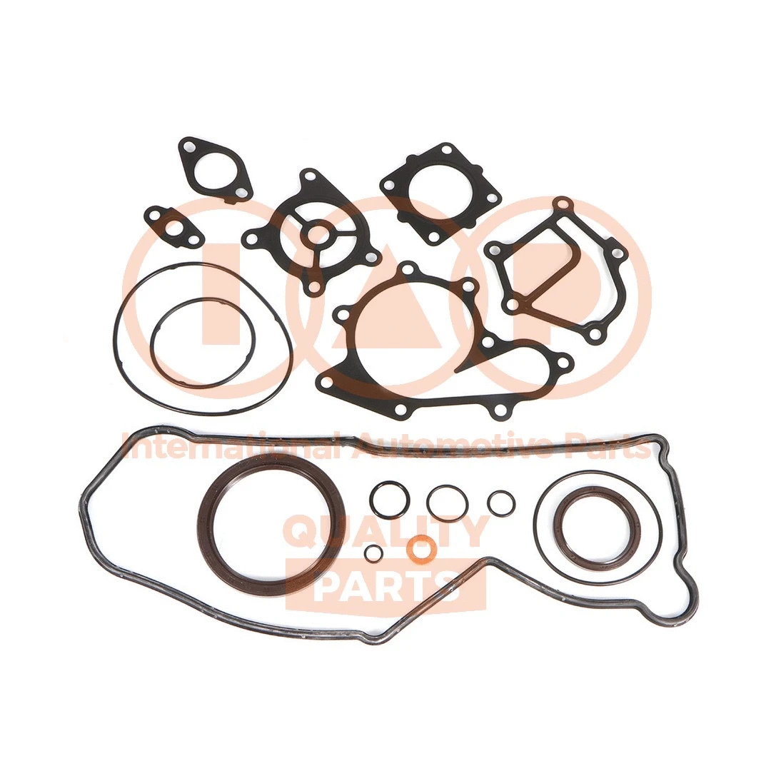 Gasket Kit, crankcase (117-13141)