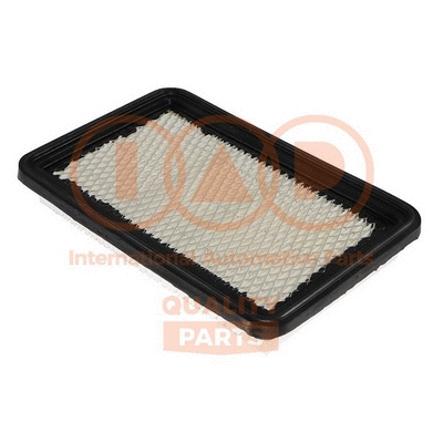 Air Filter (121-02061)