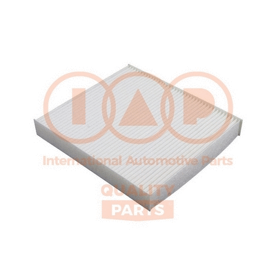 Filter, cabin air (821-06016)
