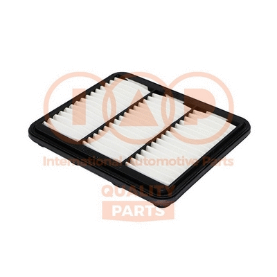 Air Filter (121-20061G)