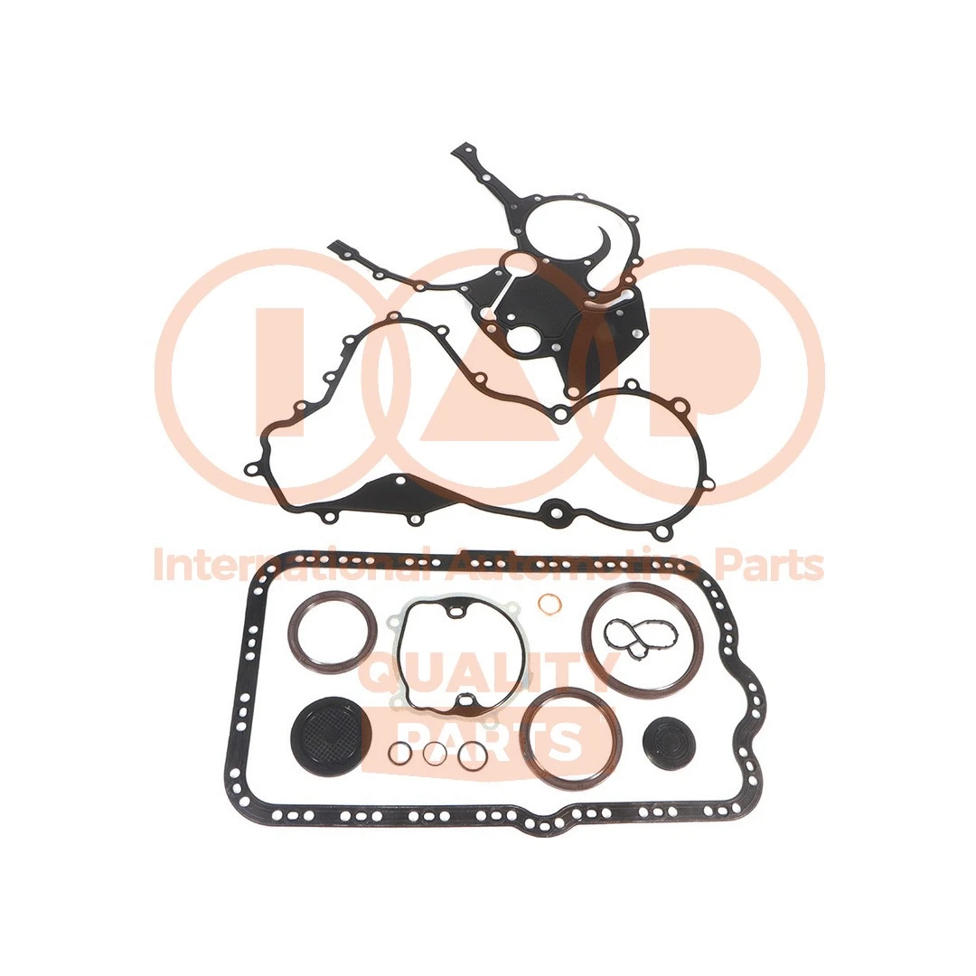 Gasket Kit, crankcase (117-13160)