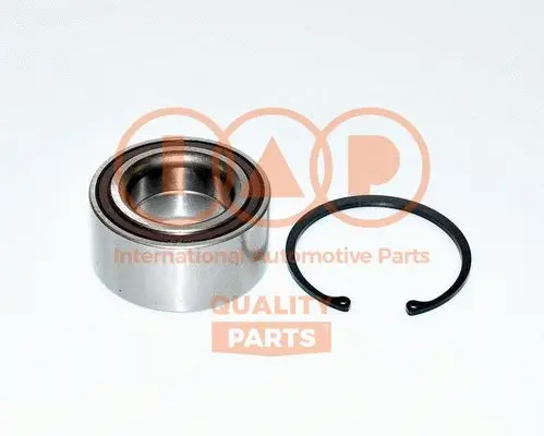 Wheel Bearing Kit (409-06032K)