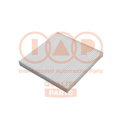 Filter, cabin air (821-12065)
