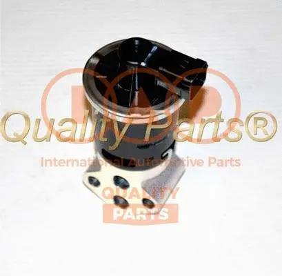 EGR Valve (818-20060)