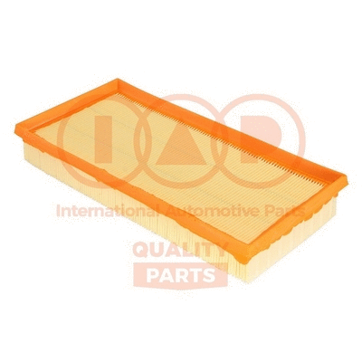 Air Filter (121-17080)