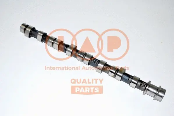 Camshaft (124-07080E)