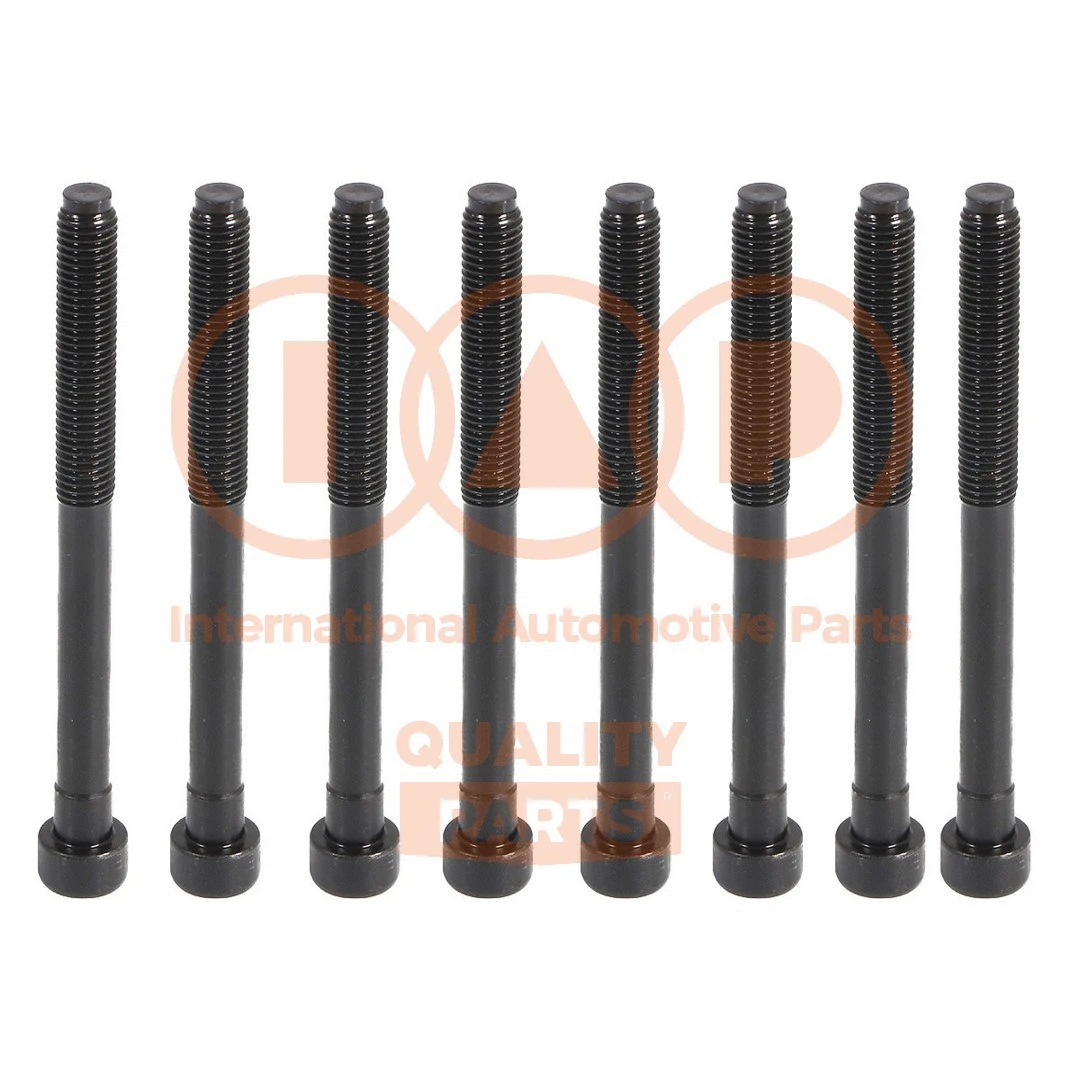 Cylinder Head Bolt Set (119-00104)