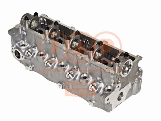 Cylinder Head (120-16156P)