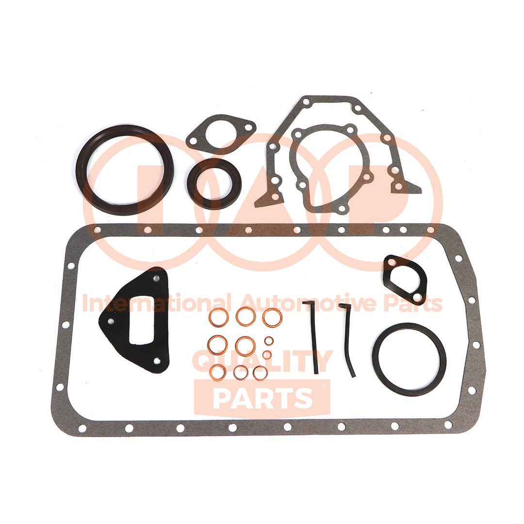 Gasket Kit, crankcase (117-16052)