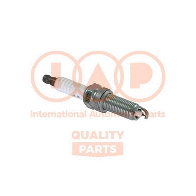 Spark Plug (809-25060)
