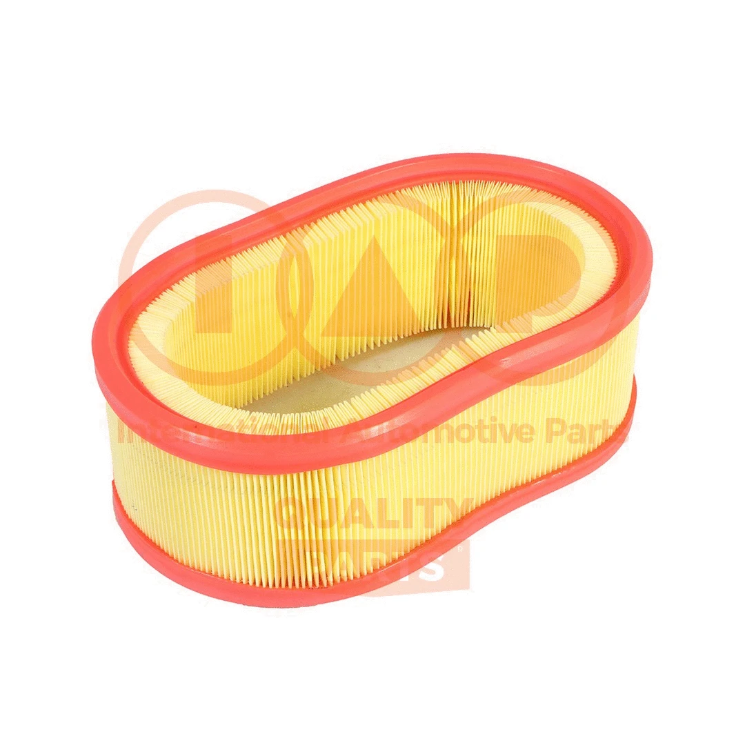 Air Filter (121-29020)