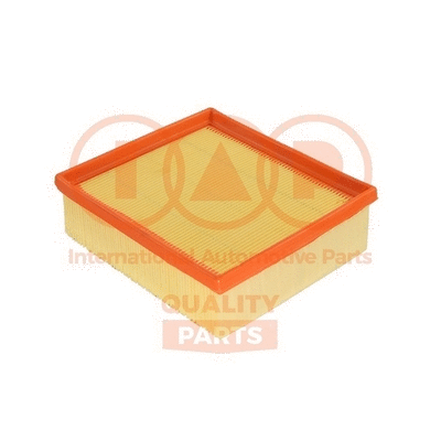 Air Filter (121-16101)