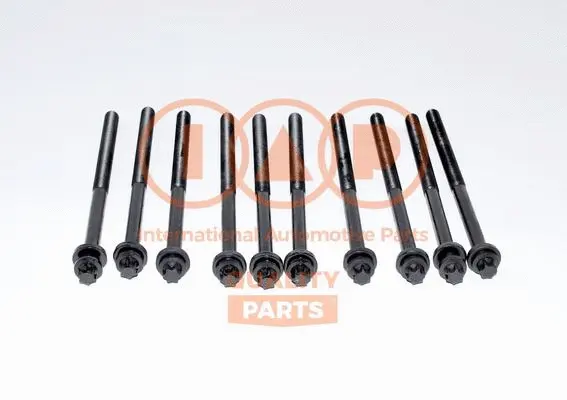 Cylinder Head Bolt Set (119-13091)