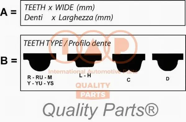 Timing Belt (128-17041)