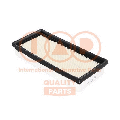 Air Filter (121-16066)