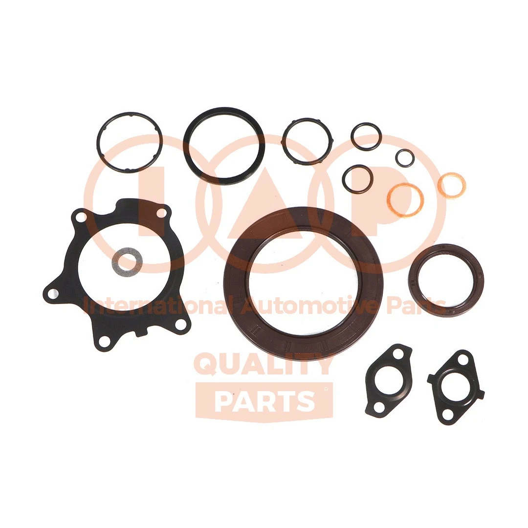 Gasket Kit, crankcase (117-17003)