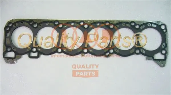 Gasket, cylinder head (118-13030P)