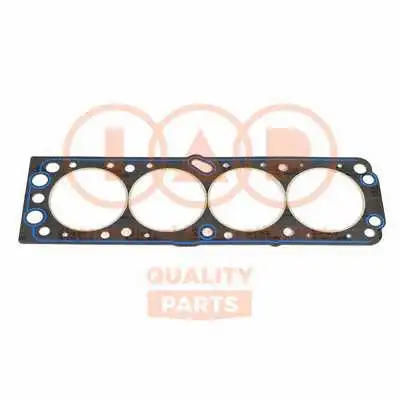 Gasket, cylinder head (118-20050)