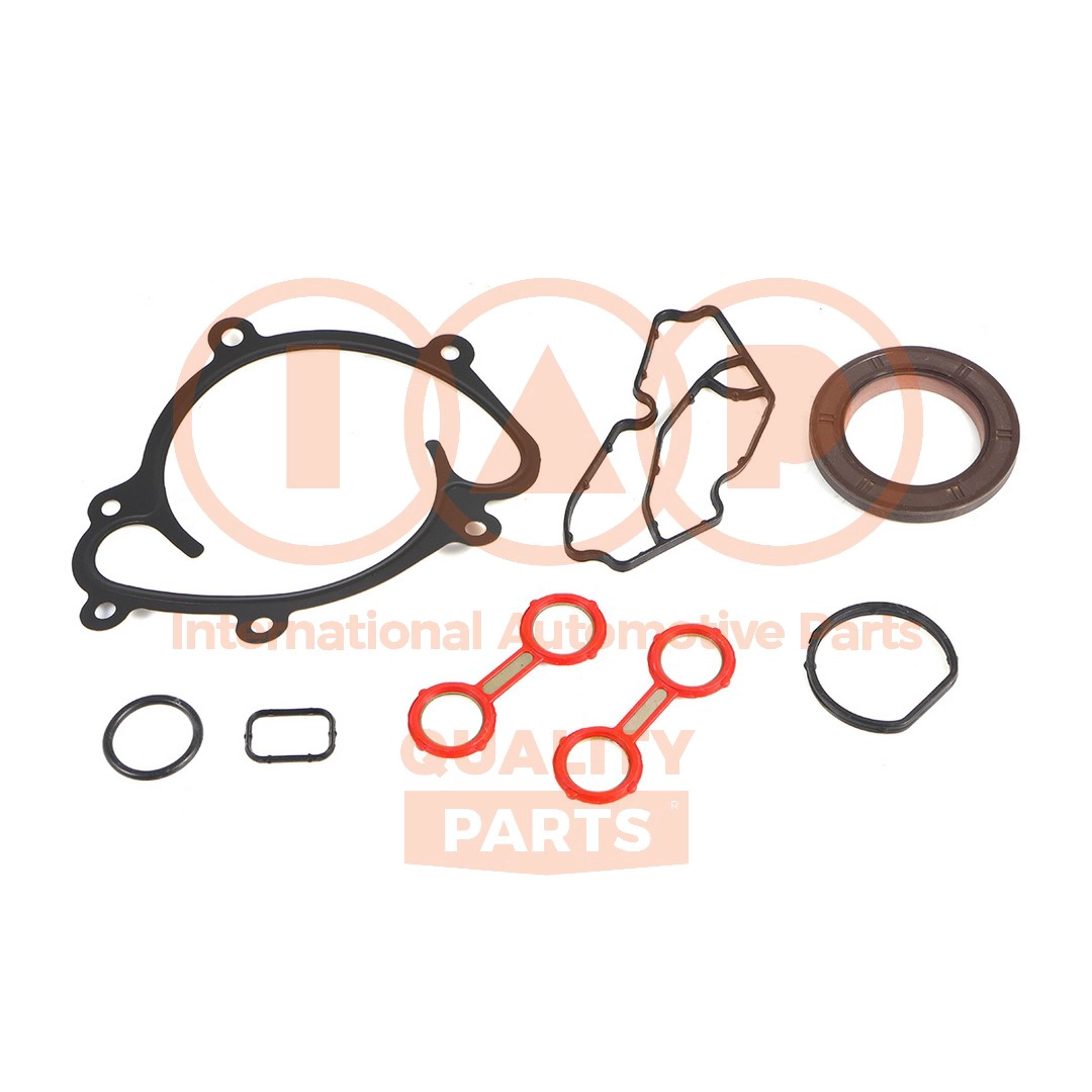Gasket Kit, crankcase (117-10044)