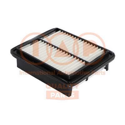 Air Filter (121-16031)