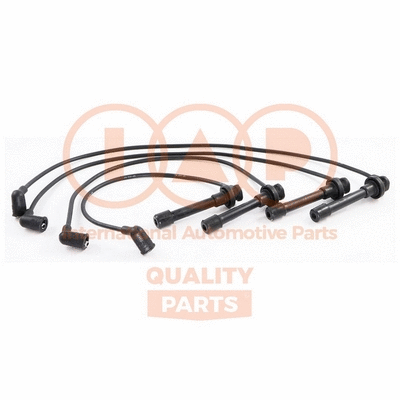 Ignition Cable Kit (808-06070)