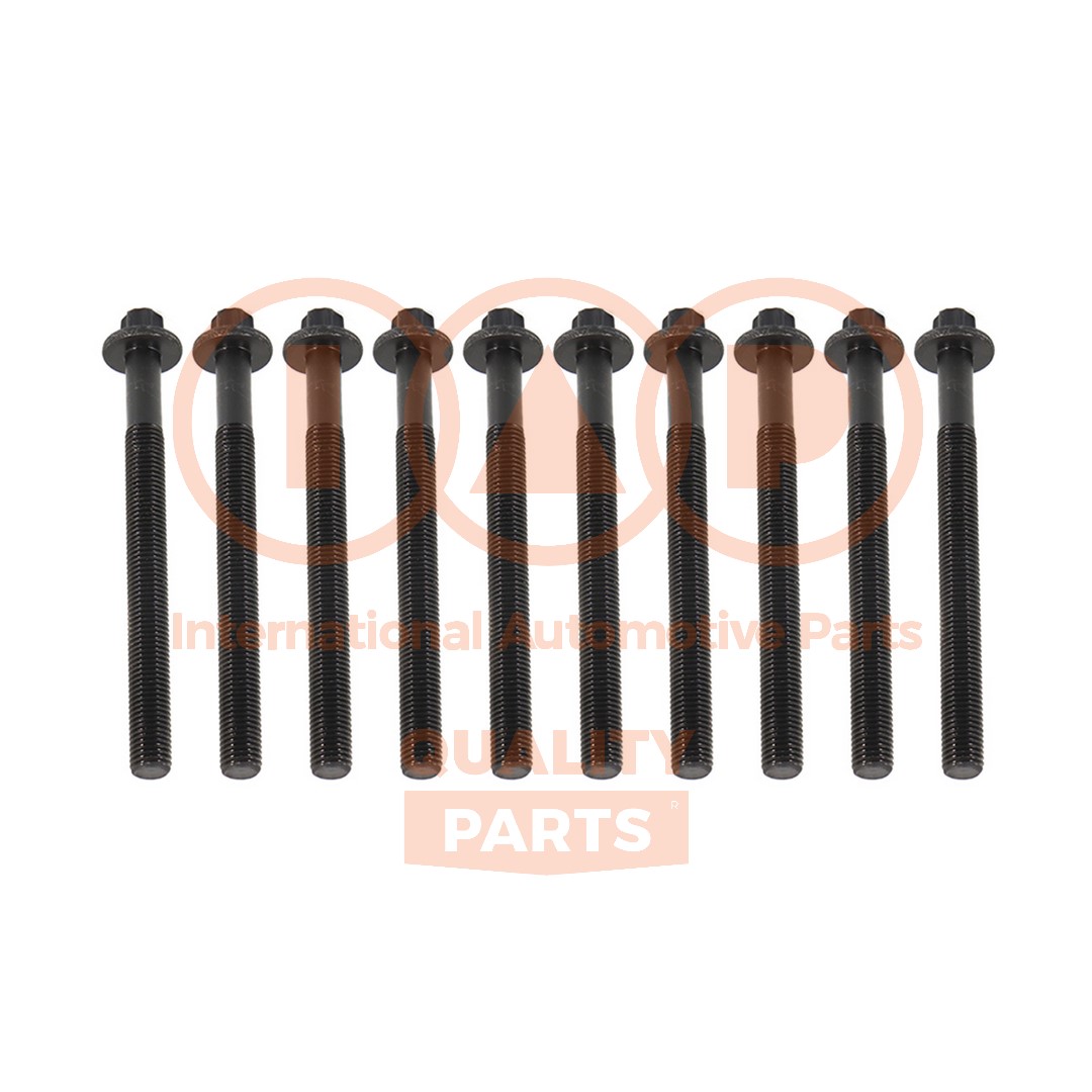 Cylinder Head Bolt Set (119-13093P)